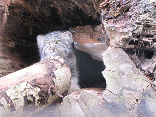 Вам сюда не пройти Вам сюда не пройти