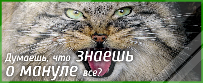 ТЕСТ - Что я знаю о мануле