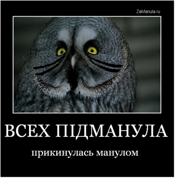 Всех пiдманула Всех пiдманула