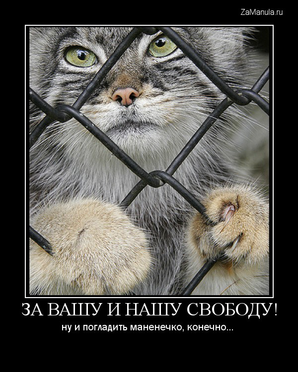 За вашу и нашу свободу! За вашу и нашу свободу!