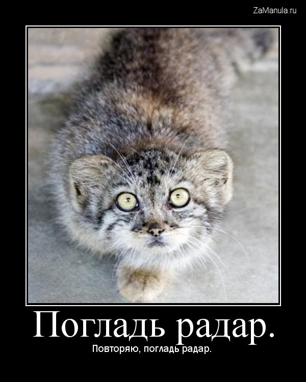 Погладь радар Погладь радар