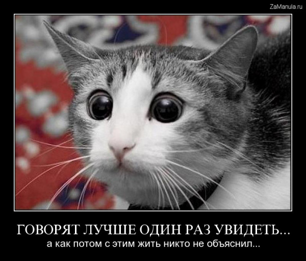 Лучше один раз увидеть... Лучше один раз увидеть...