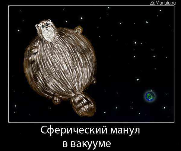 Сферический манул в вакууме Сферический манул в вакууме