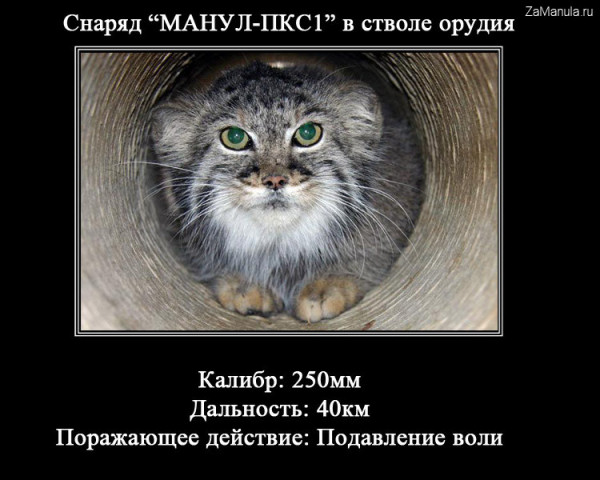 Снаряд "Манул-ПКС1" Снаряд "Манул-ПКС1"
