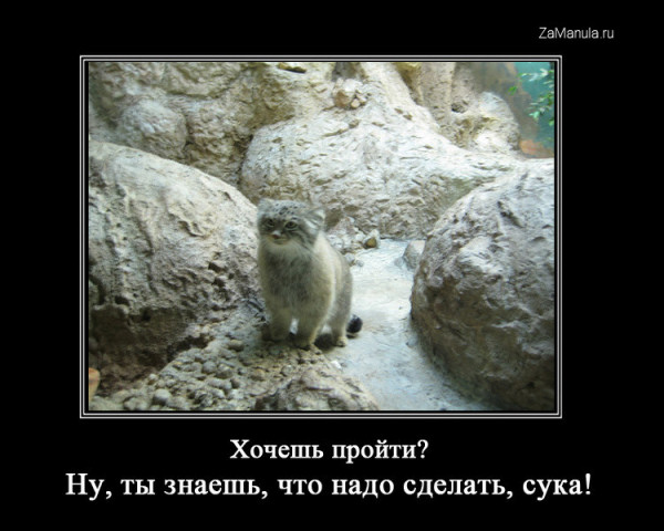 Хочешь пройти? Хочешь пройти?