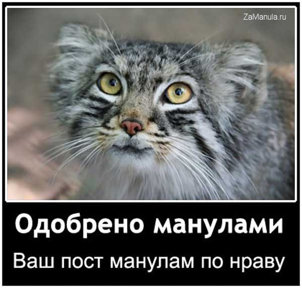 Одобрено манулами Одобрено манулами