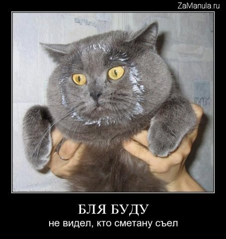 Кто сметану съел Кто сметану съел