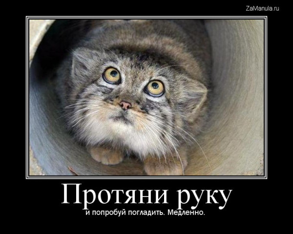 Протяни руку Протяни руку