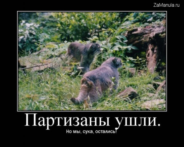 Партизаны ушли Партизаны ушли
