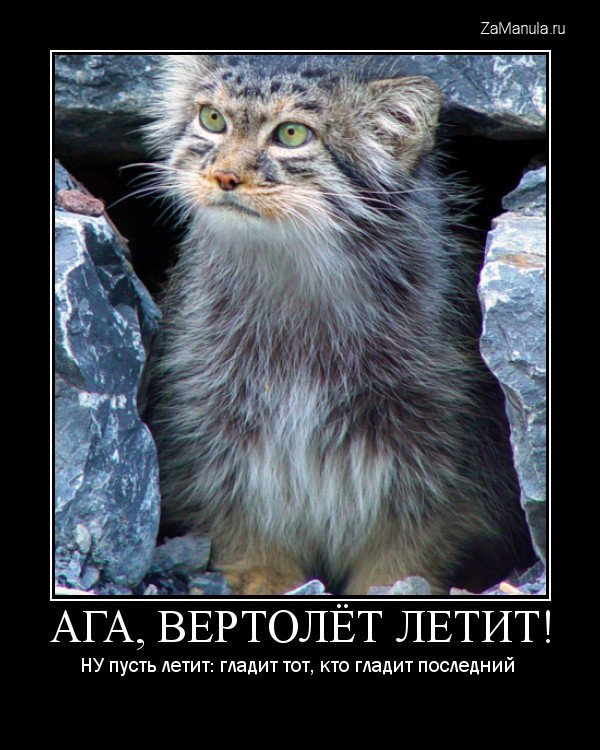 Ага, вертолет летит! Ага, вертолет летит!