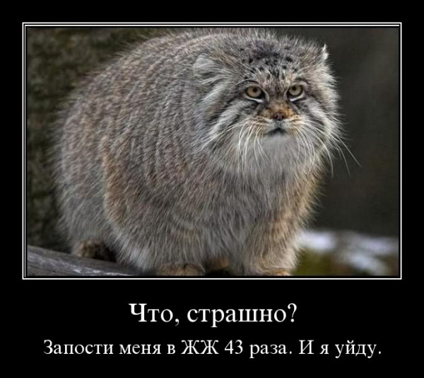 Что, страшно? Что, страшно?