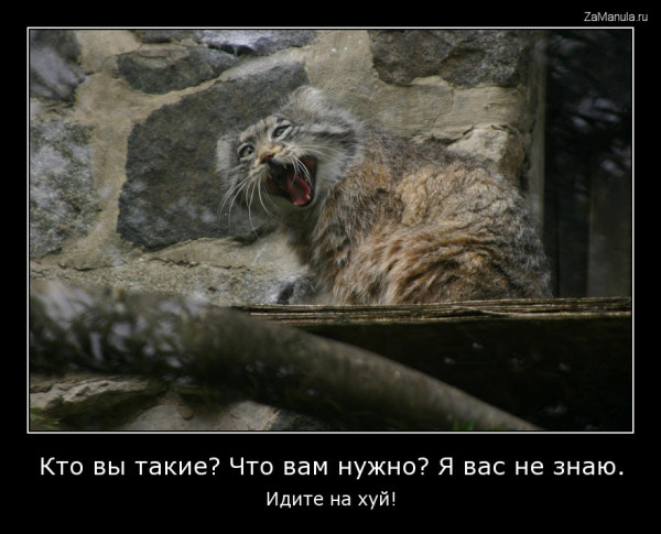 Кто вы такие? Что вам нужно? Я вас не знаю