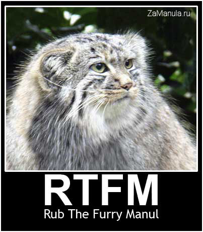 RTFM - Rub The Furry Manul RTFM - Rub The Furry Manul