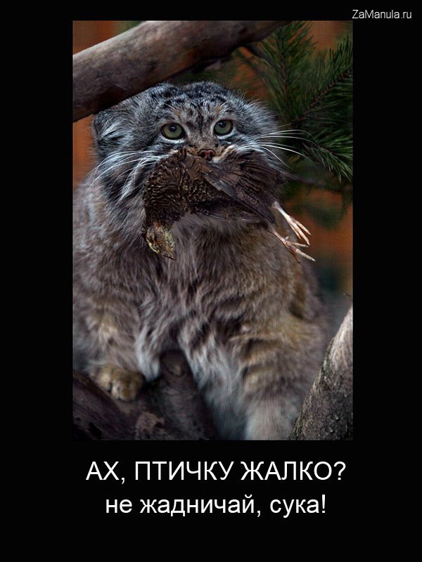 Не жадничай Не жадничай