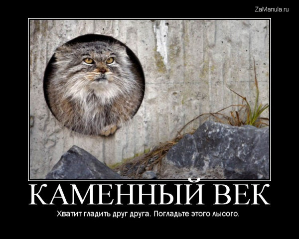 Каменный век Каменный век