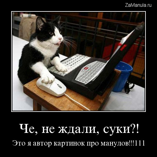 Это я автор картинок про манулов!!!111 Это я автор картинок про манулов!!!111