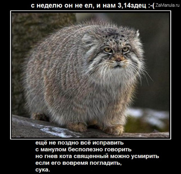 Еще не поздно все исправить Еще не поздно все исправить