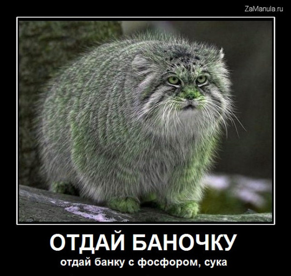 Отдай баночку Отдай баночку