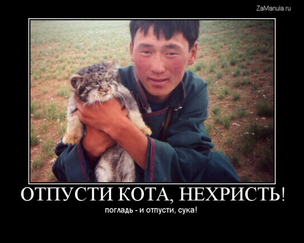Отпусти кота, нехристь! Отпусти кота, нехристь!