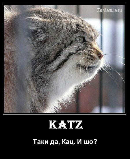 Katz Katz