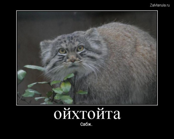 Ойхтойта Ойхтойта