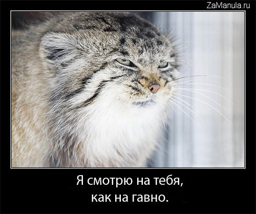 Я смотрю на тебя Я смотрю на тебя