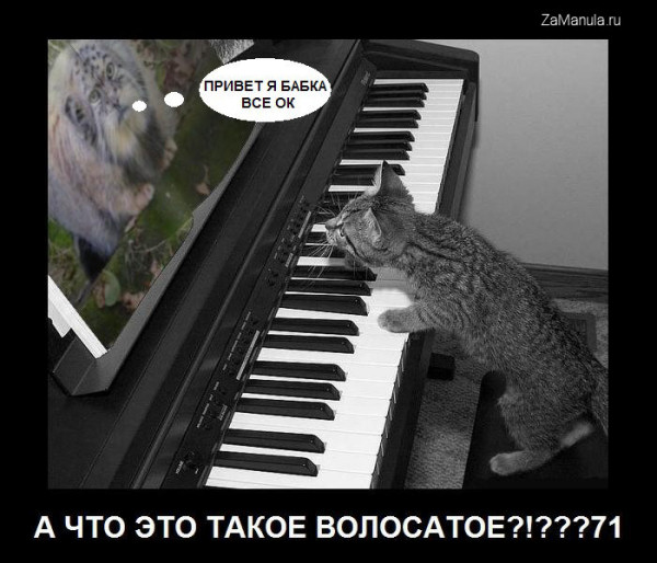 А что это такое волосатое? А что это такое волосатое?