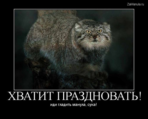Хватит праздновать! Хватит праздновать!