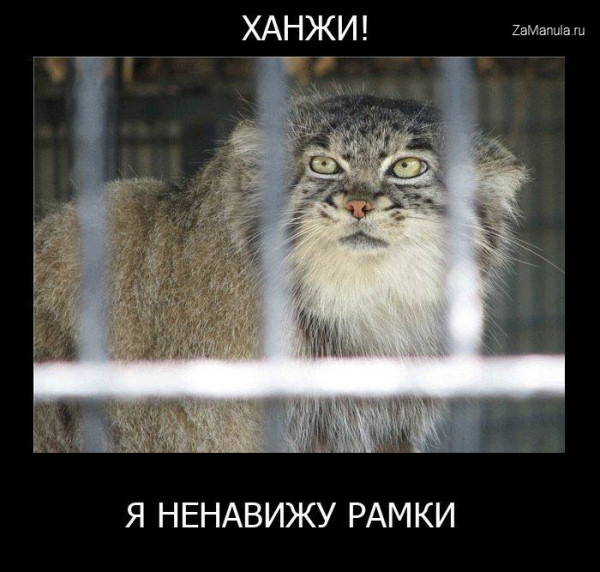 Ханжи Ханжи