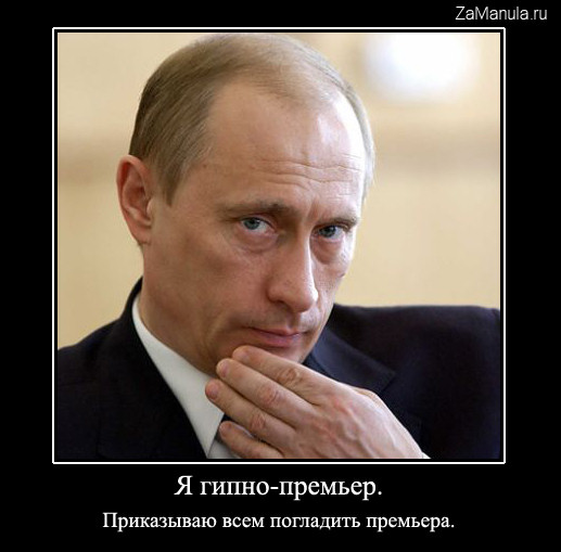 Погладь премьера Погладь премьера