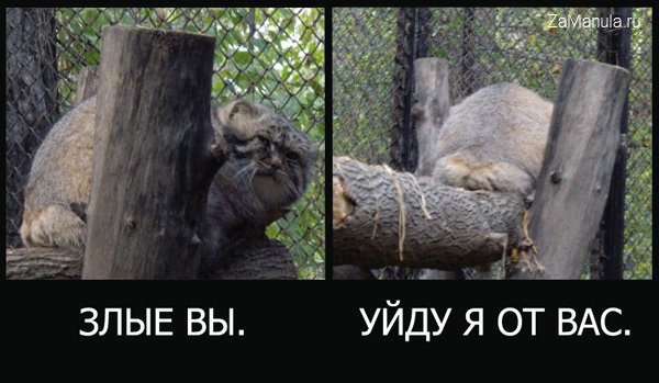 Злые вы. Уйду я от вас. Злые вы. Уйду я от вас.