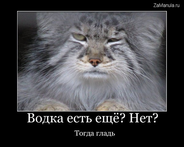 Водка есть еще? Нет? Водка есть еще? Нет?