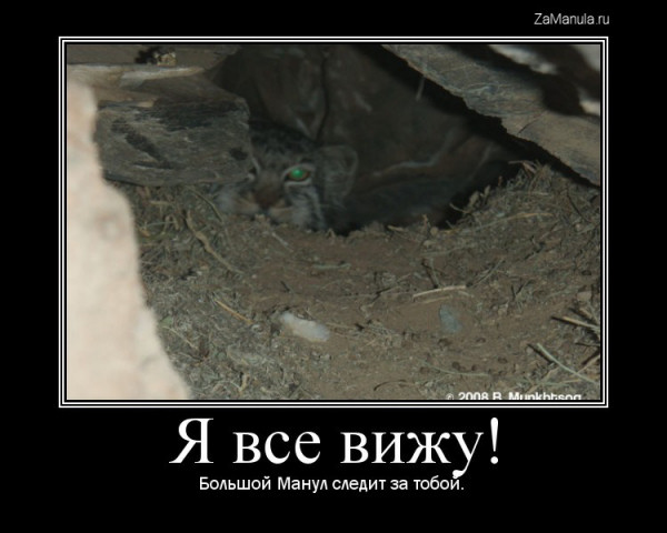 Я все вижу!
