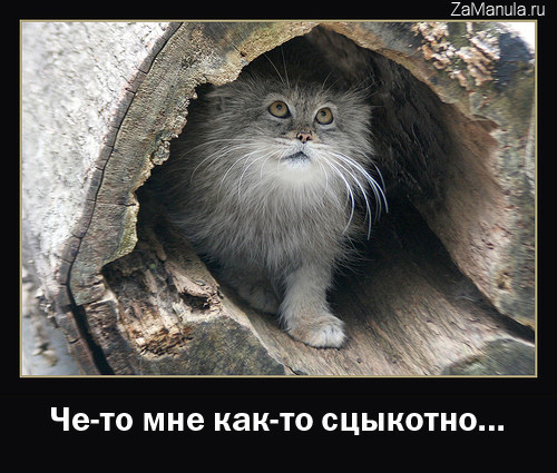 Че-то мне как-то сцыкотно...