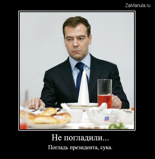 Не погладили... Не погладили...