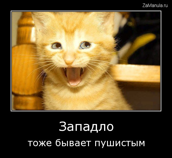 Западло Западло