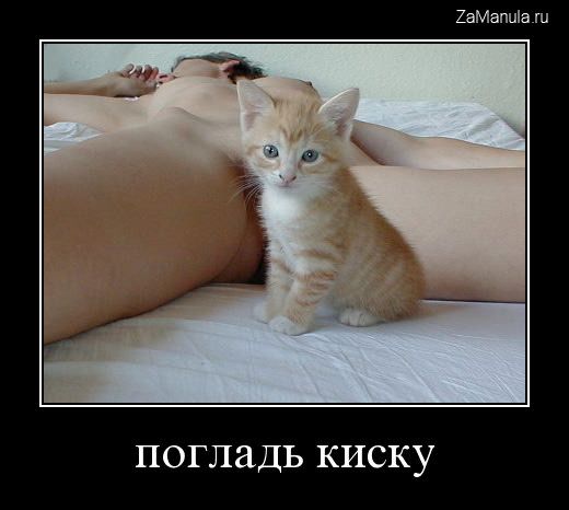 Погладь киску Погладь киску