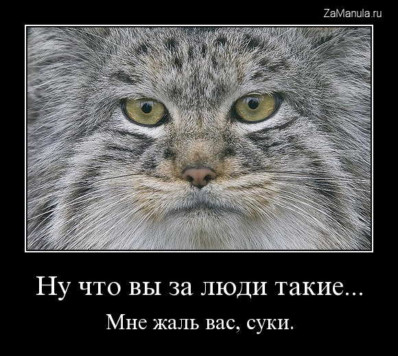 Ну что вы за люди такие... Ну что вы за люди такие...