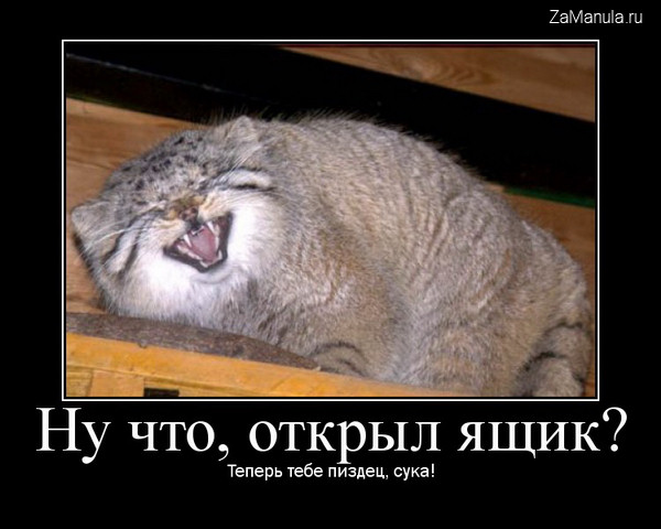 Ну что, открыл ящик? Ну что, открыл ящик?