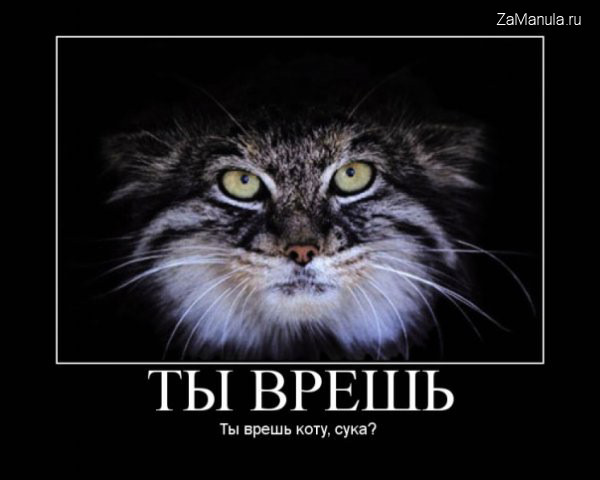 Ты врешь Ты врешь