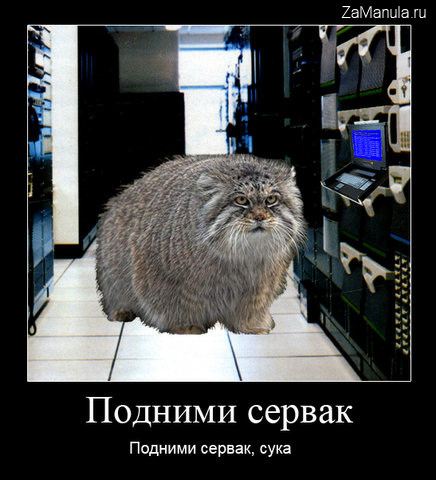 Подними сервак Подними сервак