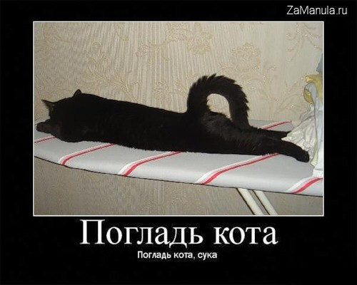 Погладь кота Погладь кота