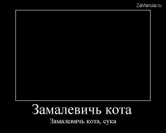 Замалевичь кота