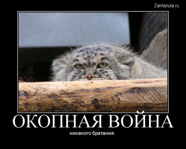 Окопная война Окопная война