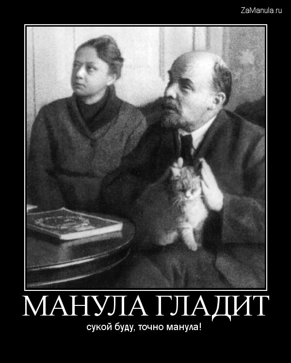 Манула гладит Манула гладит