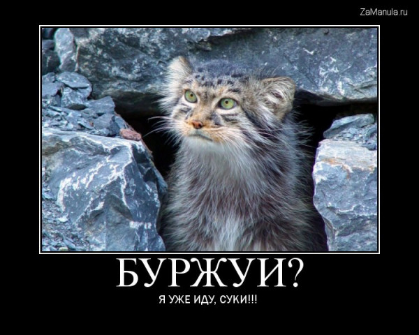 Буржуи? Буржуи?
