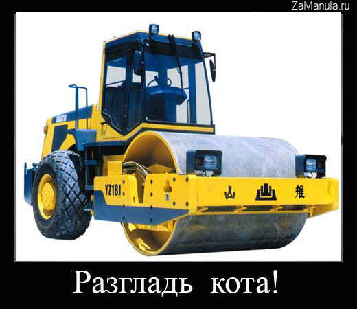 Разгладь кота Разгладь кота