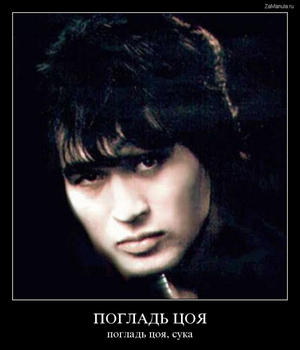 Погладь Цоя Погладь Цоя