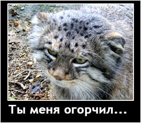 Ты меня огорчил... Ты меня огорчил...