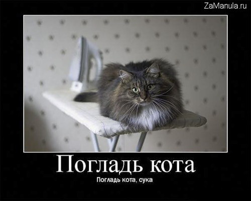 Погладь кота Погладь кота